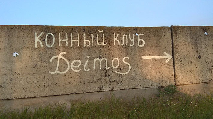 ПРОГУЛКИ ВЕРХОМ ЗАГОРОДНЫЕ МАРШРУТЫ